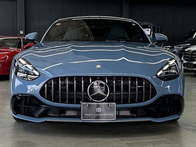 2025 MERCEDES-BENZ AMG GT GT43/4AA-192342C