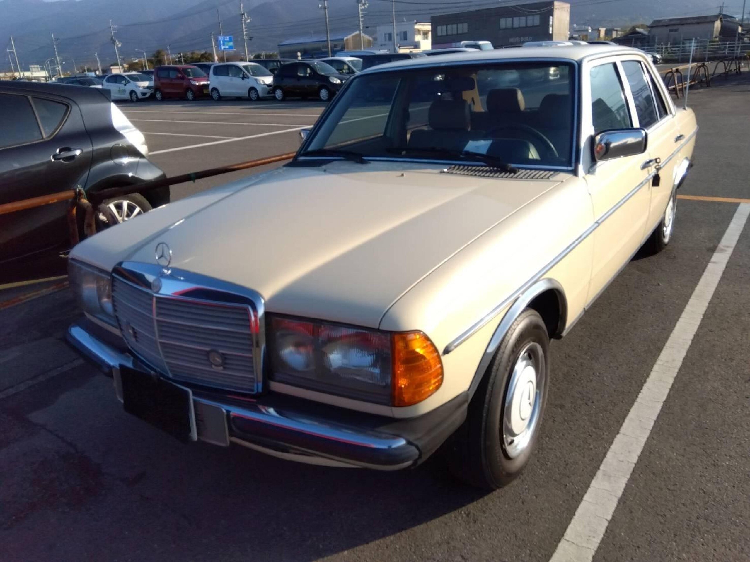 1982 Mercedes-Benz Mercedes-Benz - 1982 مرسيدس بنز Mercedes-Benz