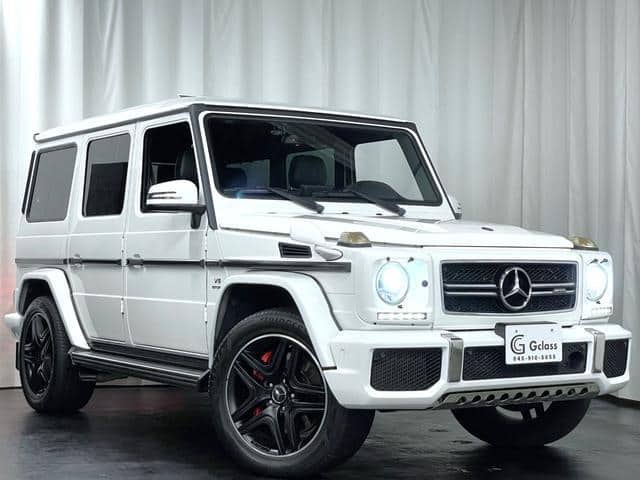 2015 MERCEDES-BENZ G-CLASS/463272