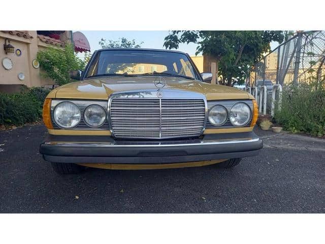 1978 MERCEDES-BENZ MEDIUM CLASS/123130