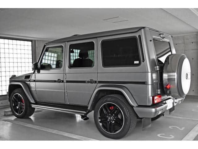 2017 MERCEDES-BENZ G-CLASS/463272