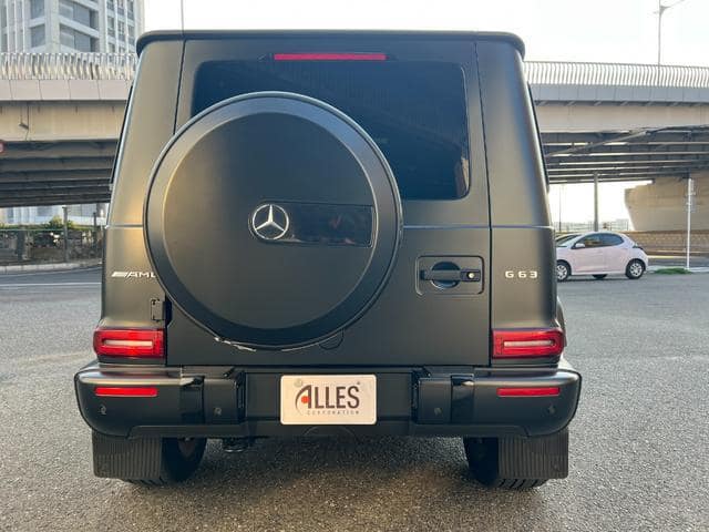 2019 MERCEDES-BENZ G-CLASS/463276