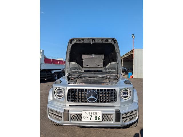 2018 MERCEDES-BENZ G-CLASS AMGG634WD/ABA-463276