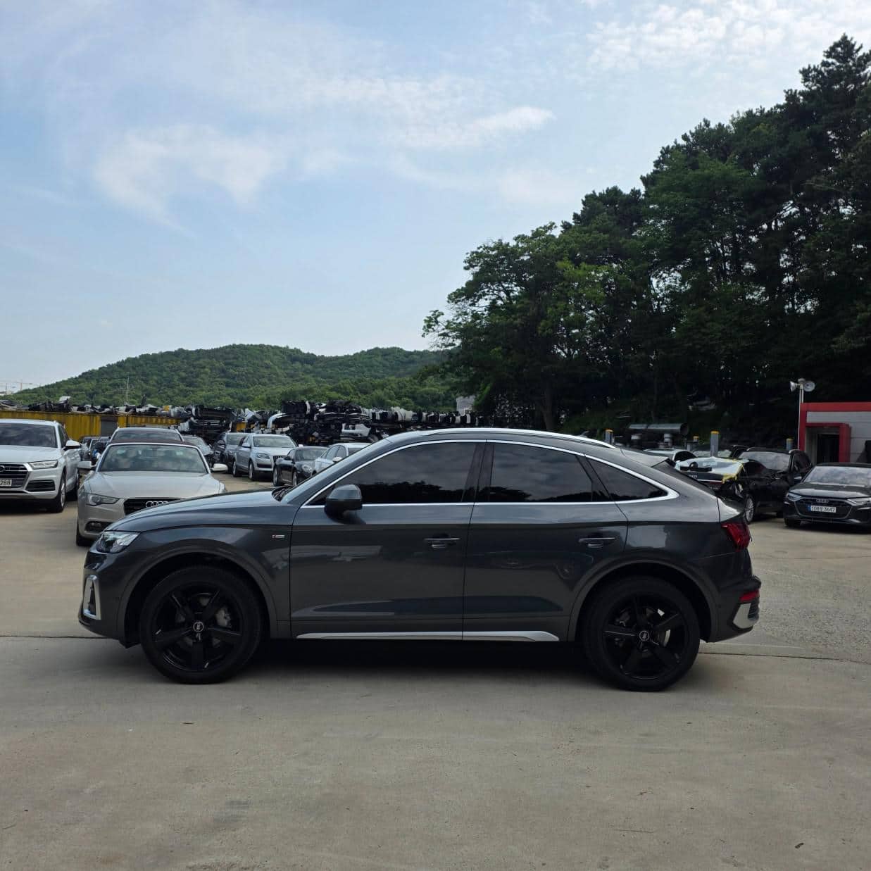 2023 AUDI Q5 - 2023 アウディ Q5