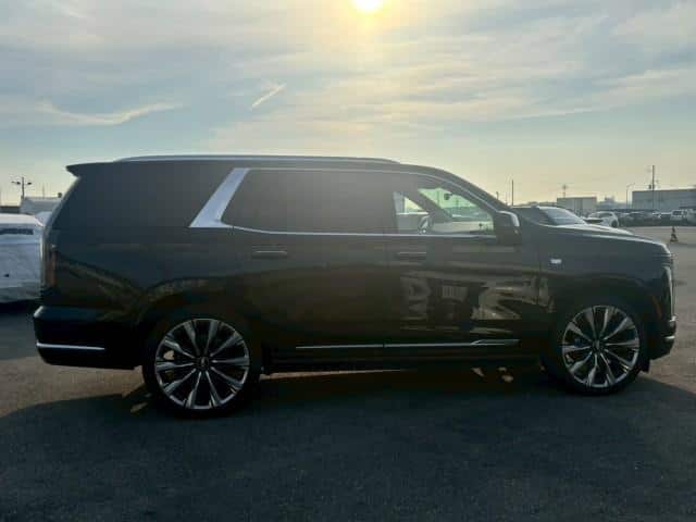 2025 CADILLAC ESCALADE/-T1UL- - 2025 كاديلاك Escalade