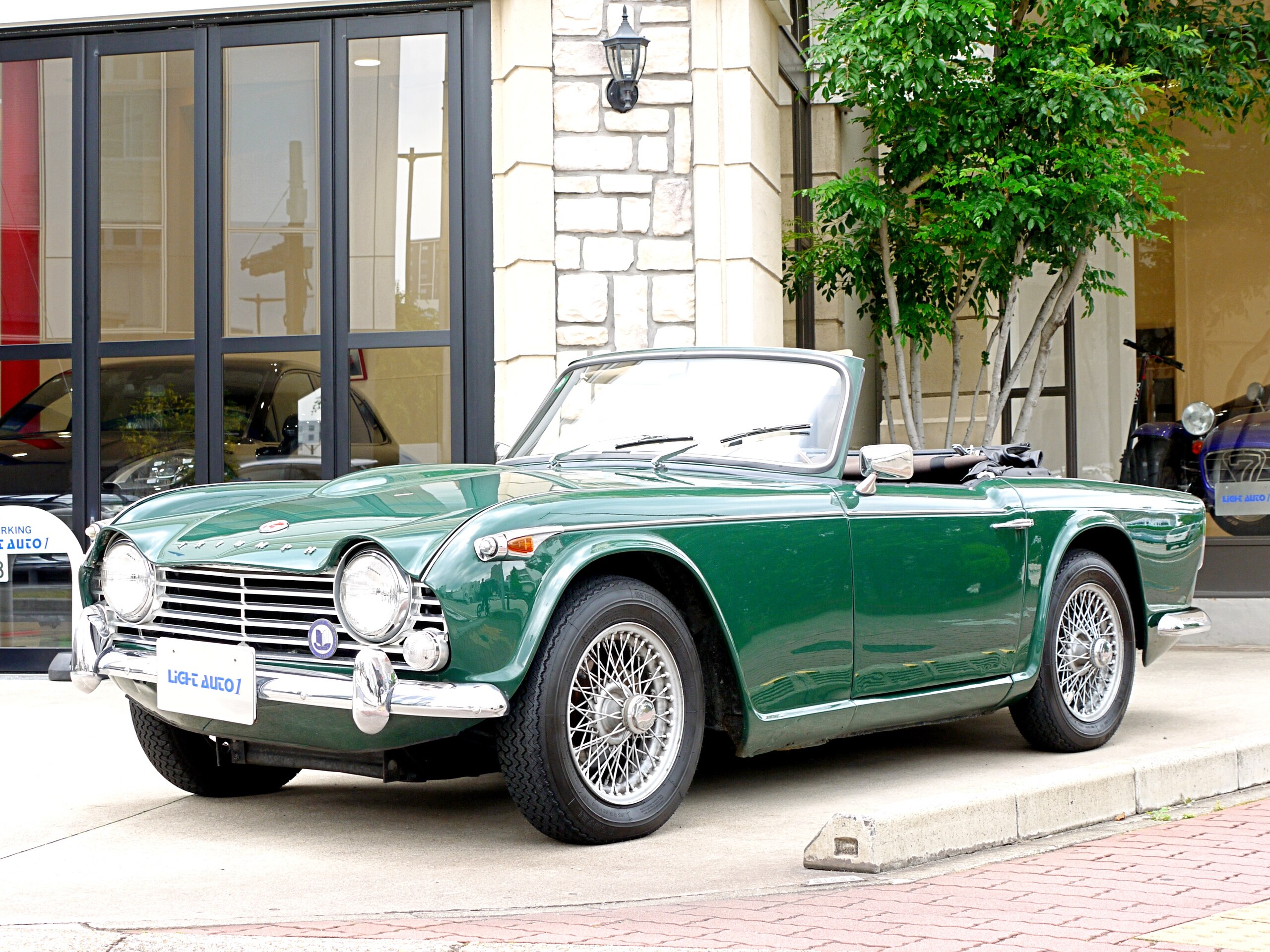 2026 Triumph TR-4 - トライアンフ TR-4