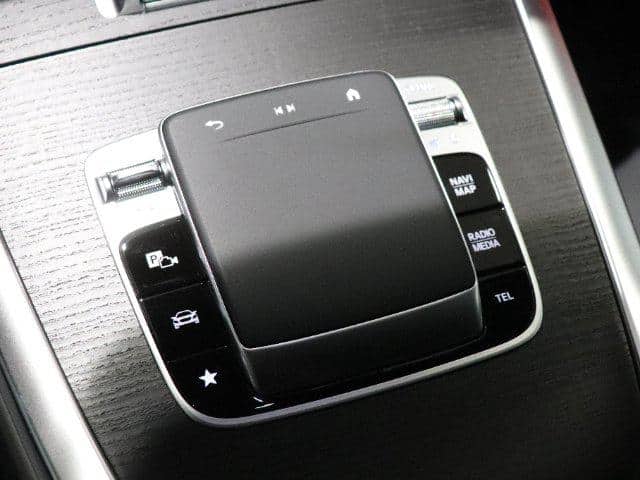 2025 MERCEDES-BENZ G-CLASS G450dAMGISG/465310C