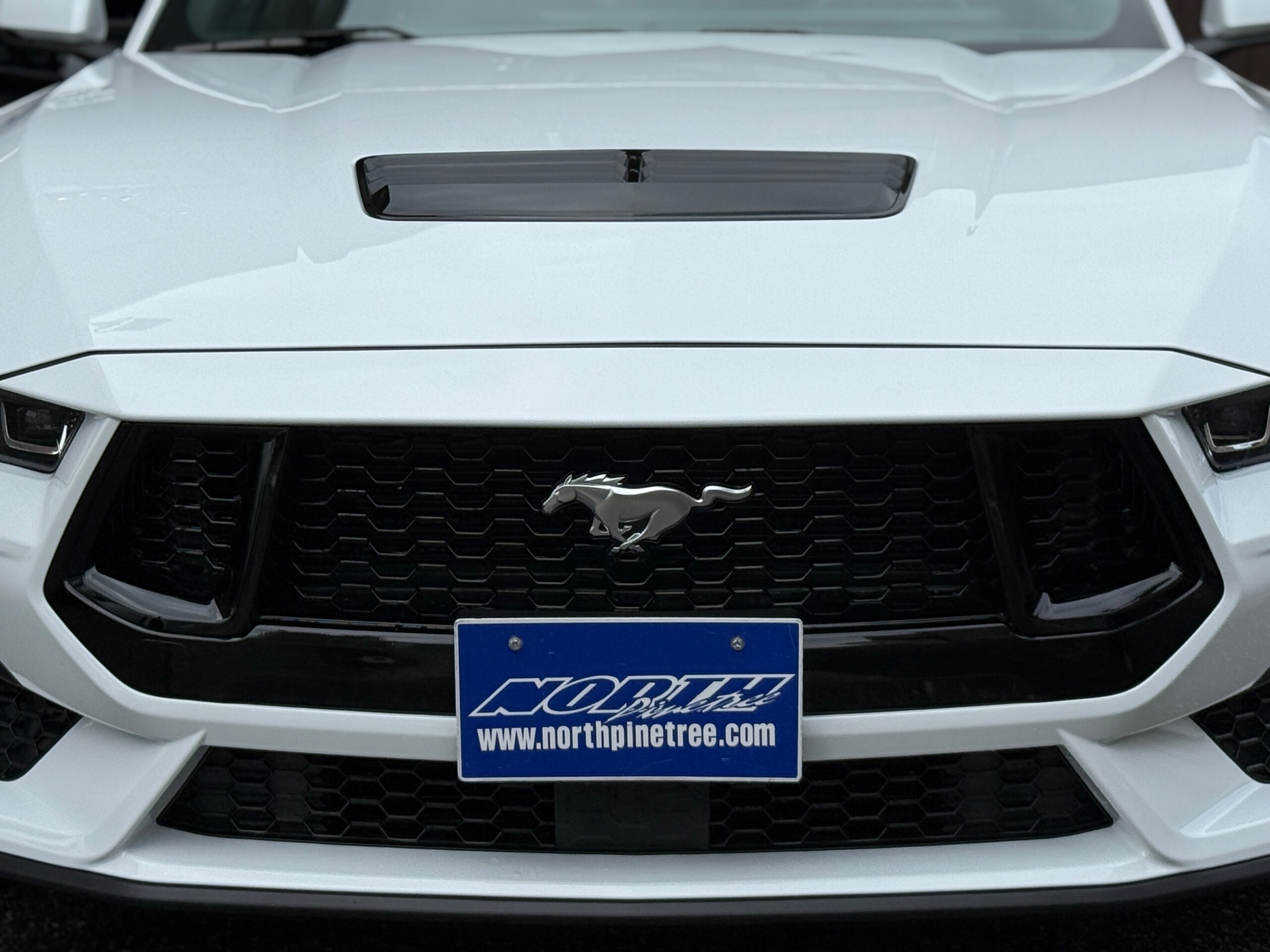 2024 Ford Mustang - 2024 فورد Mustang